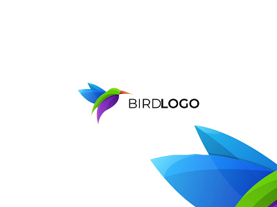 birds logo bird brand branding colorfull design full color logo logo animals logo design modern