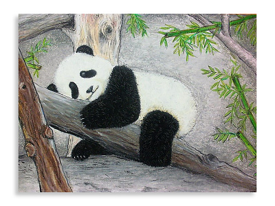 Baby Panda artwork crayon environment fine art panda