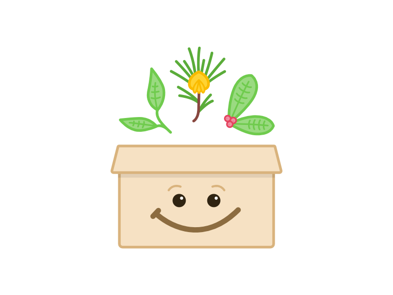 Tea Box face smile illustration tea leaves leaves subscription box box tea