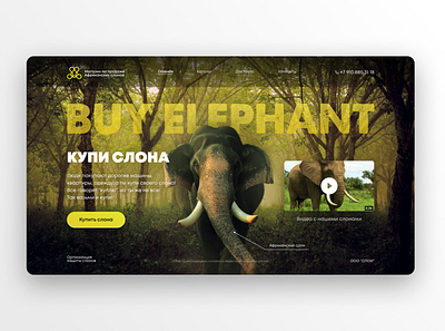 BUY ELEPHANT website buy design elephant elephants graphic design online shop site store ui web web design website