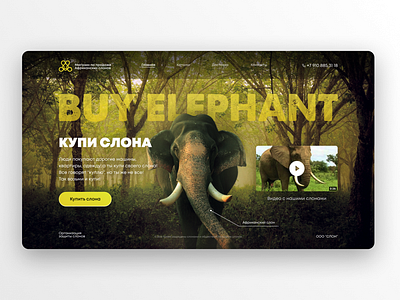 BUY ELEPHANT website