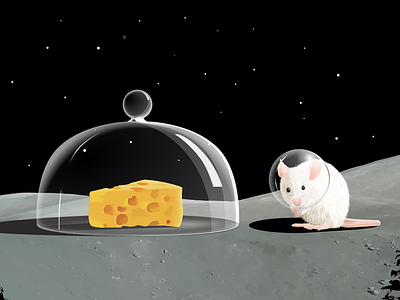 We belong here cheese glass moon mouse stars