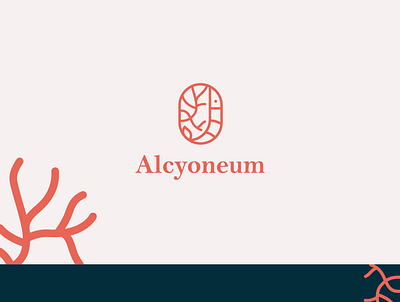 alcyoneum alcyoneum branding coral food logo logo design restaurant restaurant logo seafood seafood logo shrimp