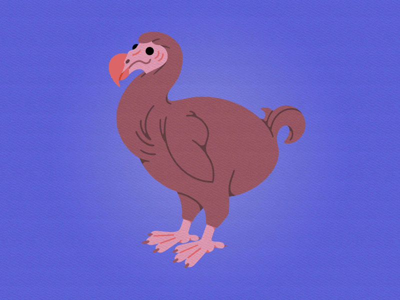 friendly dodo animal animals animation bird character childrens illustration cute dodo extinct illustration minimal