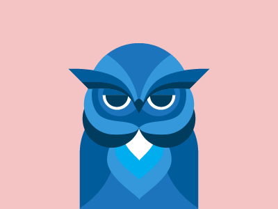 Bored Owl animal flat illustration owl vector illustration