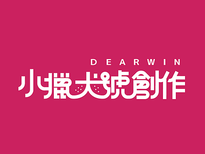 Branding- DEARWIN STUDIO branding logo