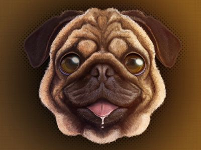 Dog Face icon illustration