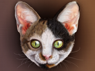 Cat Face 2 icon illustration