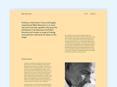 Mike Stevenson Website modernist responsive website design
