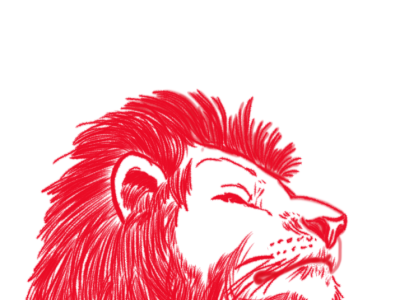 Sketch of a Lion design illustration sketch