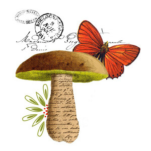 Muir Woods butterfly collage mushroom