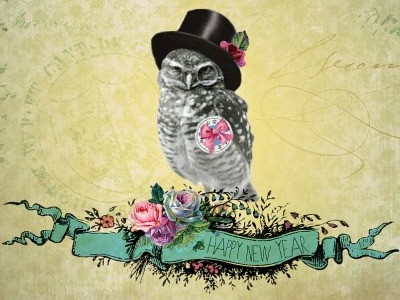 New Year Owl by April Meeker on Dribbble