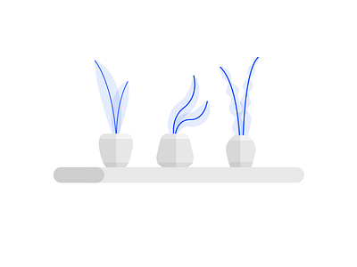 Plant Vases