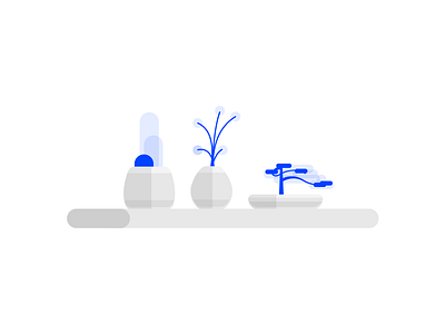 Plant Vases