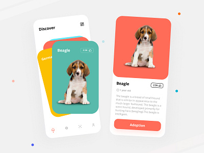 Pet Adoption App