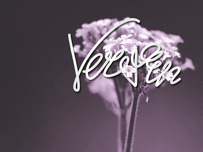 Vervain logo cosmetics expression hand drawn lettering