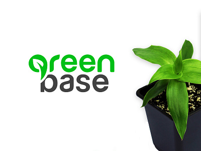 GreenBase brand design branding design graphic logo logotype logotype designer minimal typography