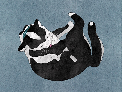 Kitty cat character characterdesign illustration illustration design kitty textures