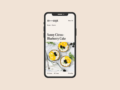 Re—Cept: Concept Recipe Guide branding food typo typography ui