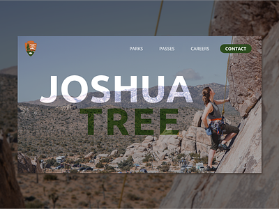 Joshua Tree Web Design adobe xd adobe xd design climbing joshua tree national park outdoors ui ux web web design web designer website