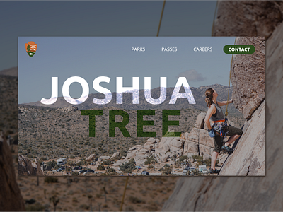 Joshua Tree Web Design