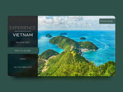 Vietnam Web Design