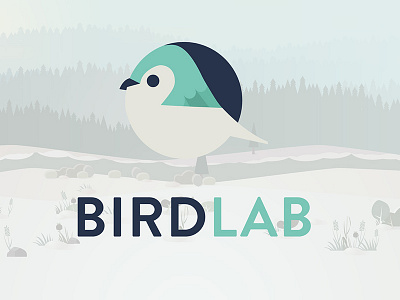 Birdlab bird gamedesign identity mobileapp museumofhistory