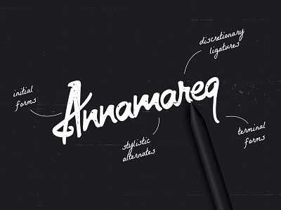 Anamareq hand writing logo logotype typography