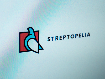 Streptopelia dove logo pigeon square