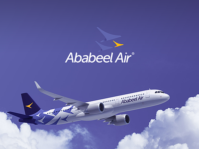Airlines Branding airline airplane branding logo