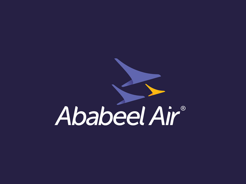 Logo airplane logo branding airline