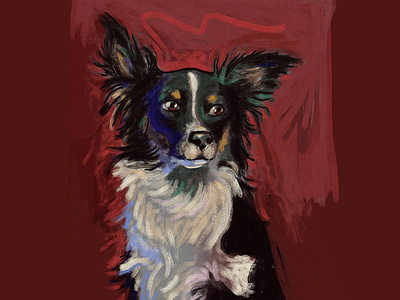 My pretty girl Zuu ausie digital painting dog illustration shepherd tykoe