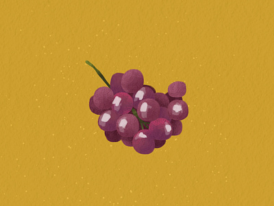 🍇 botanical design digital art digital illustration fruit illustration grape illustration illustration