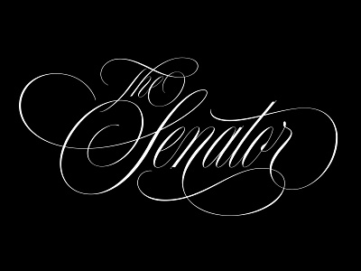 The Senator adobe customlettering design flourish illustrator lettering logo script script lettering typography vector