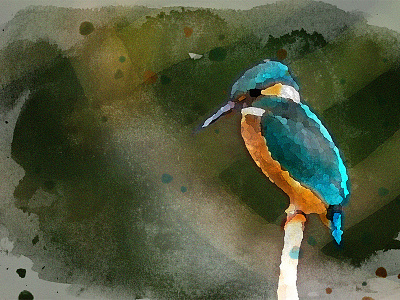 Watercolor paint effect bird creativity painting photoshop watercolor