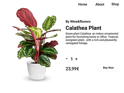 buy plants checkout page