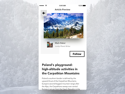 Week #4 (24) — ArticlePreview article flat ios app iphone light theme mass media minimalistic news app simple typography