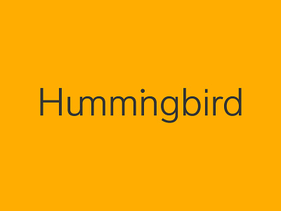 Hummingbird branding design for online logo