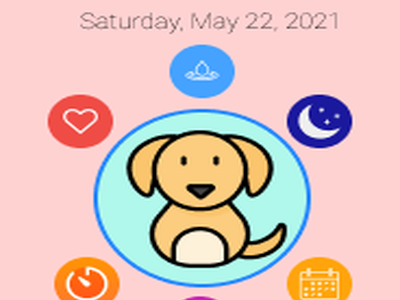 Pet's Health Tracker dogs health iot pet care ux design