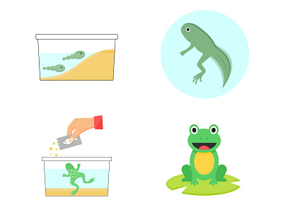 Kids icons illustrations grow a frog out of a tadpole adobe illustrator flat design flat illustration frog vector icon set icons illustrations kids illustration tadpole vector art vector illustration vectorart