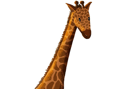 The Giraffe