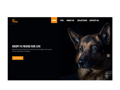 PAWS WEBSITE DESIGN animation app branding design illustration logo typography ux web website