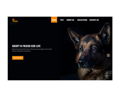 PAWS WEBSITE DESIGN