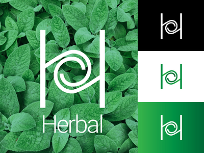 Herbal branding h logo h monogram logo logo design monogram