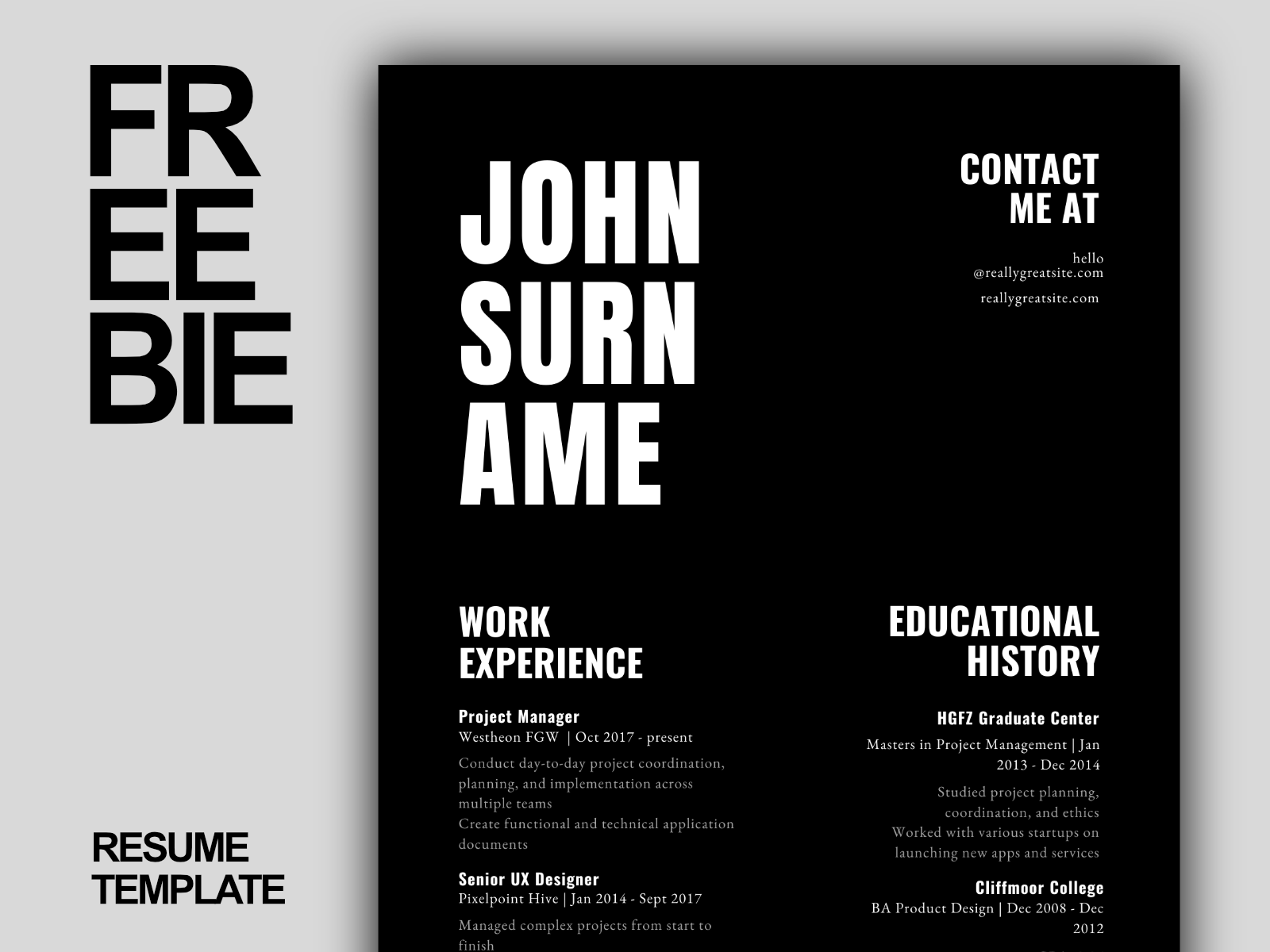 Freebie | Resume/CV Design Minimal Canva Free Download by Temal Design on  Dribbble