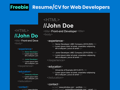 Freebie | Resume/CV Template for Web Developers by Temal Design on Dribbble