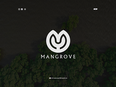 logo project done for mangrove abstract background creative icon illustration letter logo modern typography vector