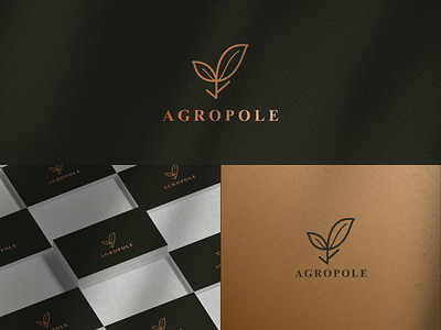 AGROPOLE LOGO DESIGN 3d abstract animation branding creative design graphic design illustration logo modern motion graphics typography ui vector