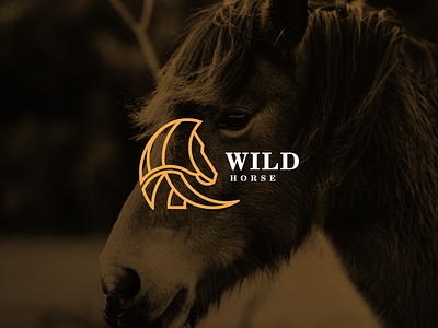 Wild Horse logo design 3d abstract branding creative design dribble graphic design horse horse logo illustration ilustrations logo logo design logo for sale modern motion graphics typography ui vector