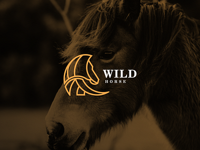 Wild Horse logo design